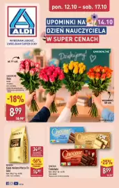 ALDI gazetka tydzień 42 Strona 1