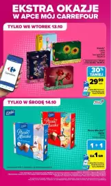 Carrefour gazetka Strona 2: Kwiaty LEGO €29,99