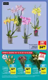 Carrefour Market gazetka Strona 5: Storczyk 3-pędowy Mariflora €24,99, Bukiet frezji Carrefour €19,99