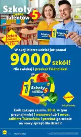 Lidl gazetka tydzień 42 Strona 10