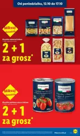 Lidl gazetka tydzień 42 Strona 15