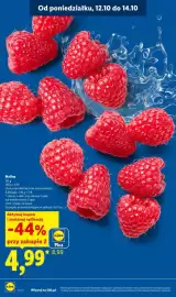 Lidl gazetka tydzień 42 Strona 16