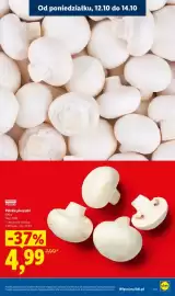 Lidl gazetka tydzień 42 Strona 17: Pieczarki polskie €4,99