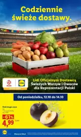 Lidl gazetka tydzień 42 Strona 48: Śliwki okrągłe luzem €4,99