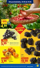 Lidl gazetka tydzień 42 Strona 51: Jeżyny €11,99, Kaki/Sharon €3,99