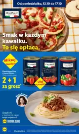 Lidl gazetka tydzień 42 Strona 60