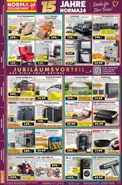 Norma Prospekt woche 43 Seite 18: Kupfer Dachschutz €39,99, Alu-Gewächshaus €299,00