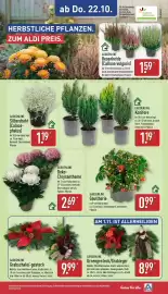 Aldi Nord Prospekt woche 43 Seite 29: GARDENLINE Gaultherie €0,99, GARDENLINE Urnengesteck/Grableger €8,99