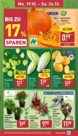 Aldi Nord Prospekt woche 43 Seite 3: Chicorée €1,39, Speisekartoffeln €1,49