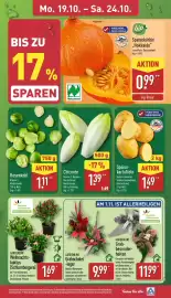 Aldi Nord Prospekt woche 43 Seite 3: Chicorée €1,39, Speisekartoffeln €1,49