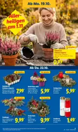 Lidl Prospekt woche 43 Seite 17