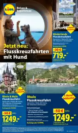 Lidl Prospekt woche 43 Seite 71
