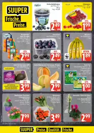 Marktkauf Prospekt Seite 6