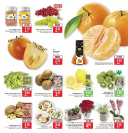 Marktkauf Prospekt Seite 5