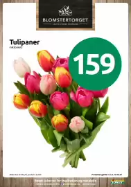 Joker kundeavis Side 11: Tulipaner €159,00