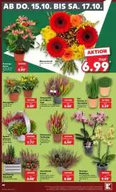Kaufland Prospekt Seite 52