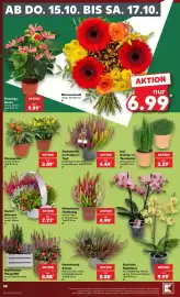 Kaufland Prospekt Seite 52