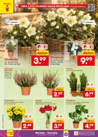 Netto Marken-Discount DE folder week 42 Pagina 10