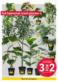 Rusta kundeavis uke 42 Side 13: Kunstige potteplanter