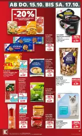 Kaufland Prospekt Seite 51