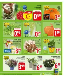 Edeka Prospekt woche 42 Seite 5