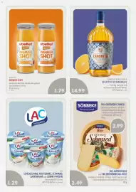 Edeka Struve Prospekt woche 43 Seite 13