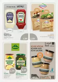 Edeka Struve Prospekt woche 43 Seite 14