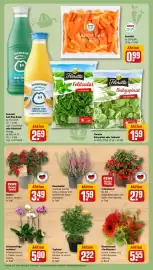 REWE Kaufpark Prospekt woche 42 Seite 7