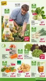 Wasgau Prospekt woche 42 Seite 7: Bunte Salate €1,49, Bioland Bio Zwiebel €1,99