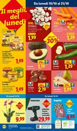 Volantino Lidl settimana 42 Pagina 54: LUPILU Felpa da bambini €4,99, Champignon XXL €1,99