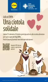 Volantino Lidl settimana 42 Pagina 31
