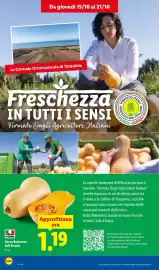 Volantino Lidl settimana 42 Pagina 4