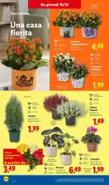 Volantino Lidl settimana 42 Pagina 44: Kalanchoe 'Happy Halloween' €4,49, Ciclamini €1,99