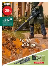 Volantino Ipercoop Pagina 42
