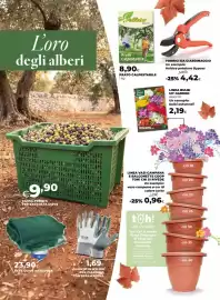 Volantino Ipercoop Pagina 46