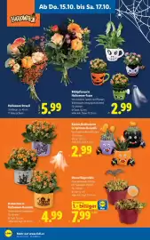 Lidl Flugblatt Seite 24