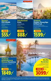 Lidl Flugblatt Seite 31