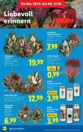 Lidl Flugblatt Seite 33
