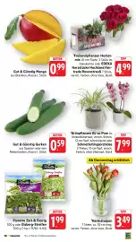 Edeka Niemerszein Prospekt woche 42 Seite 14
