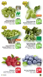 EDEKA Stralsund Prospekt woche 42 Seite 13