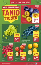 ALDI gazetka tydzień 42 Strona 3: Borówki amerykańskie XXL €16,99, Śliwki polskie €3,99