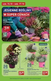 ALDI gazetka | ALDI Pełna oferta od poniedziałku 12.10 do soboty 17.10 Strona 44