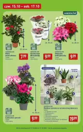 ALDI gazetka tydzień 42 Strona 45: GARDENLINE Cyklamen perski €9,99, GARDENLINE Roślina zielona w ceramicznej doniczce €19,99