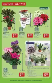 ALDI gazetka | ALDI Pełna oferta od poniedziałku 12.10 do soboty 17.10 Strona 45: GARDENLINE Cyklamen perski €9,99