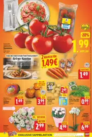 EDEKA Wucherpfennig Prospekt woche 42 Seite 3: EDEKA Herzstücke Speisekartoffeln "Drillinge" €1,99