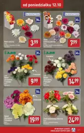 ALDI gazetka tydzień 42 Strona 7: Kwiat sztuczny €3,99, Kwiat sztuczny premium €7,99