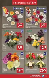 ALDI gazetka | Szeroka oferta zniczy w super cenach! Strona 7: Kwiat sztuczny €3,99, Kwiat sztuczny premium €7,99