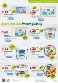 Hepsi-Markt Prospekt woche 42 Seite 22: Alwadi Msanara/ AKKAWI Käse €4,29, Alwadi Mshallale Käse €4,99