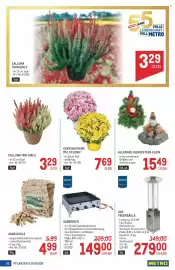 Metro Flugblatt Seite 62: CHRYSANTHEME MULTIFLORA €7,69, Gasbräter €149,00