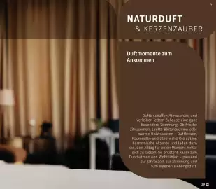 Müller Flugblatt Seite 29